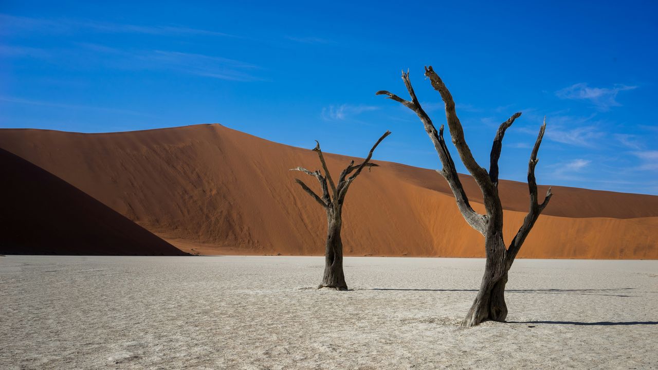 Deadvlei Namibië – Matoke Tours